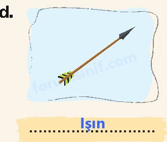 4. Sınıf Matematik Ders Kitabı Sayfa 209 Cevapları Beşgen Yayıncılık - 6