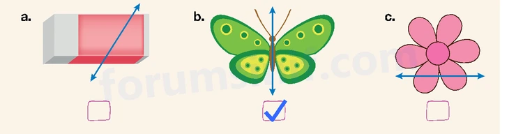 4. Sınıf Matematik Ders Kitabı Sayfa 225 Cevapları Beşgen Yayıncılık