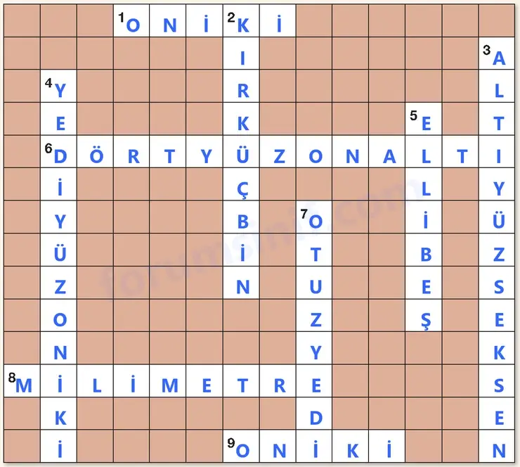 4. Sınıf Matematik Ders Kitabı Sayfa 244 Cevapları Beşgen Yayıncılık