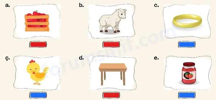 4. Sınıf Matematik Ders Kitabı Sayfa 272 Cevapları Beşgen Yayıncılık