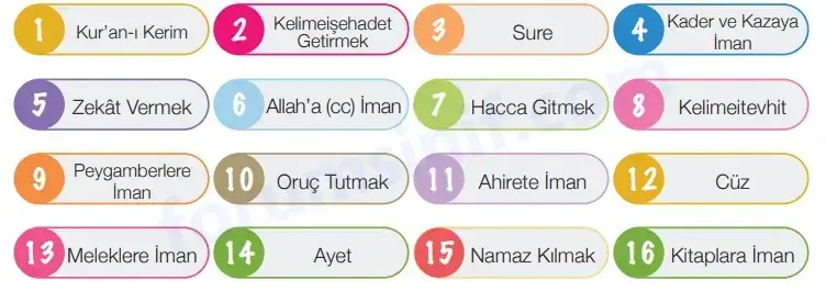 4. Sınıf Din Kültürü Ders Kitabı Sayfa 50 Cevapları MEB Yayınları