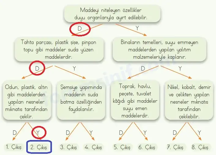 4. Sınıf Fen Bilimleri Ders Kitabı Sayfa 102 Cevapları MEB Yayınları
