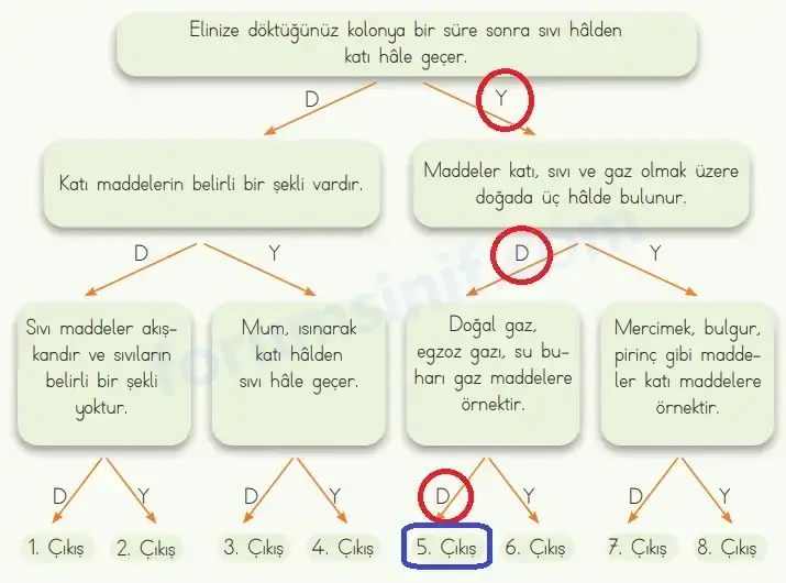 4. Sınıf Fen Bilimleri Ders Kitabı Sayfa 115 Cevapları MEB Yayınları