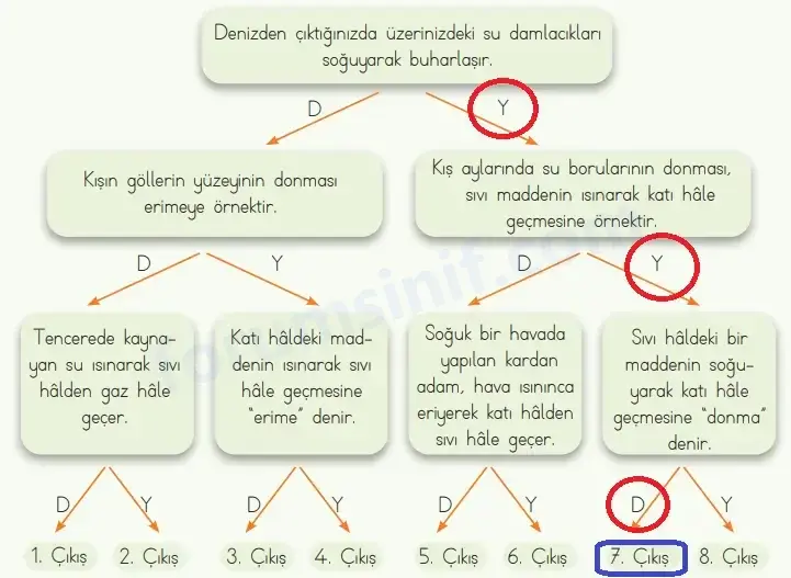 4. Sınıf Fen Bilimleri Ders Kitabı Sayfa 123 Cevapları MEB Yayınları 4. Sınıf Fen Bilimleri Ders Kitabı Sayfa 123 Cevapları MEB Yayınları