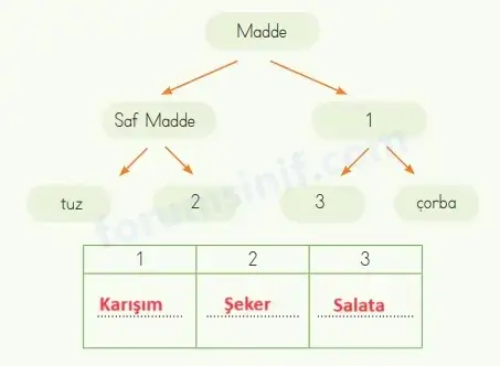 4. Sınıf Fen Bilimleri Ders Kitabı Sayfa 131 Cevapları MEB Yayınları1 4. Sınıf Fen Bilimleri Ders Kitabı Sayfa 131 Cevapları MEB Yayınları1