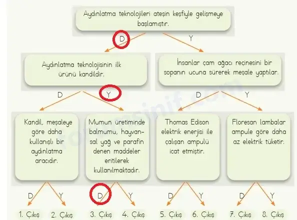 4. Sınıf Fen Bilimleri Ders Kitabı Sayfa 146 Cevapları MEB Yayınları 4. Sınıf Fen Bilimleri Ders Kitabı Sayfa 146 Cevapları MEB Yayınları