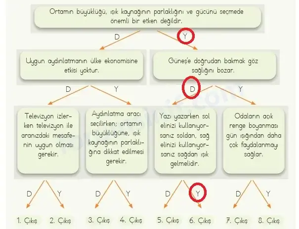 4. Sınıf Fen Bilimleri Ders Kitabı Sayfa 153 Cevapları MEB Yayınları 4. Sınıf Fen Bilimleri Ders Kitabı Sayfa 153 Cevapları MEB Yayınları