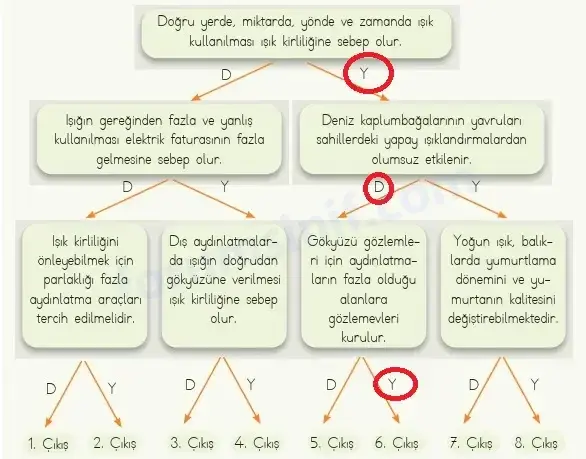4. Sınıf Fen Bilimleri Ders Kitabı Sayfa 159 Cevapları MEB Yayınları 4. Sınıf Fen Bilimleri Ders Kitabı Sayfa 159 Cevapları MEB Yayınları
