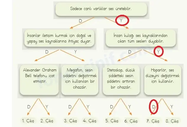 4. Sınıf Fen Bilimleri Ders Kitabı Sayfa 166 Cevapları MEB Yayınları