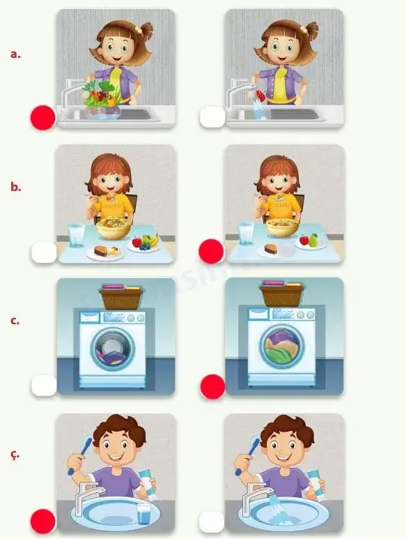 4. Sınıf Fen Bilimleri Ders Kitabı Sayfa 185 Cevapları MEB Yayınları 4. Sınıf Fen Bilimleri Ders Kitabı Sayfa 185 Cevapları MEB Yayınları