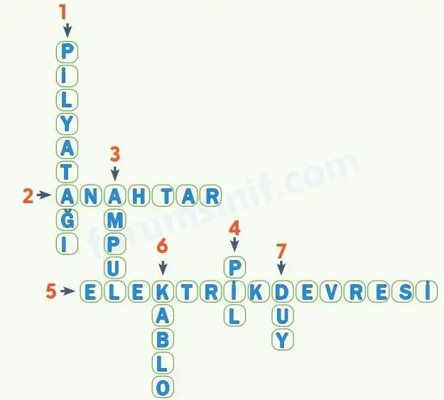 4. Sınıf Fen Bilimleri Ders Kitabı Sayfa 198 Cevapları MEB Yayınları 4. Sınıf Fen Bilimleri Ders Kitabı Sayfa 198 Cevapları MEB Yayınları
