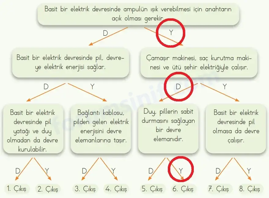 4. Sınıf Fen Bilimleri Ders Kitabı Sayfa 204 Cevapları MEB Yayınları