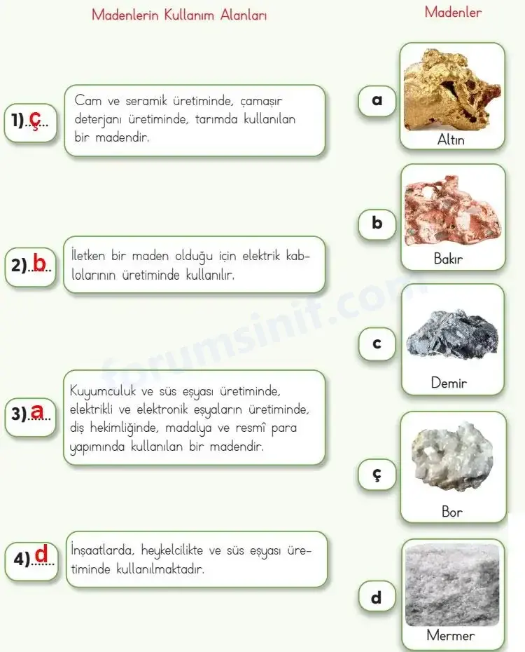 4. Sınıf Fen Bilimleri Ders Kitabı Sayfa 27 Cevapları MEB Yayınları