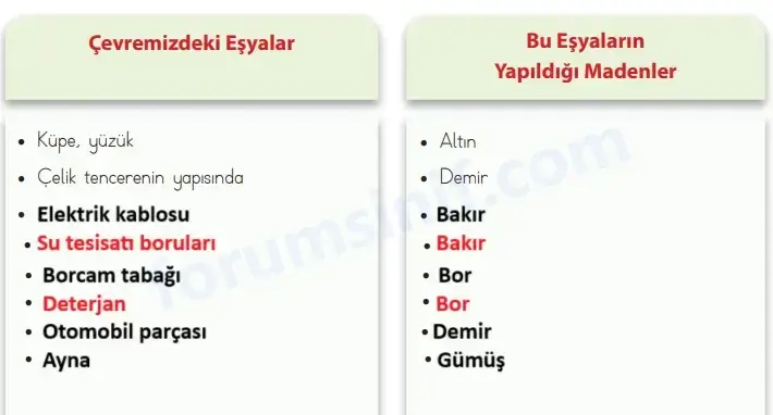 4. Sınıf Fen Bilimleri Ders Kitabı Sayfa 28 Cevapları MEB Yayınları