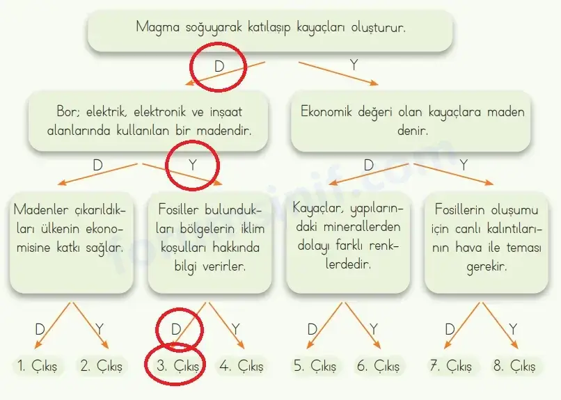 4. Sınıf Fen Bilimleri Ders Kitabı Sayfa 32 Cevapları MEB Yayınları 4. Sınıf Fen Bilimleri Ders Kitabı Sayfa 32 Cevapları MEB Yayınları