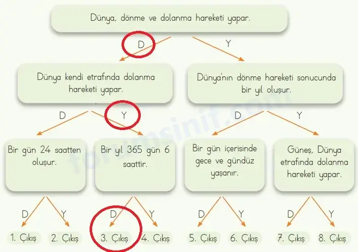 4. Sınıf Fen Bilimleri Ders Kitabı Sayfa 37 Cevapları MEB Yayınları 4. Sınıf Fen Bilimleri Ders Kitabı Sayfa 37 Cevapları MEB Yayınları