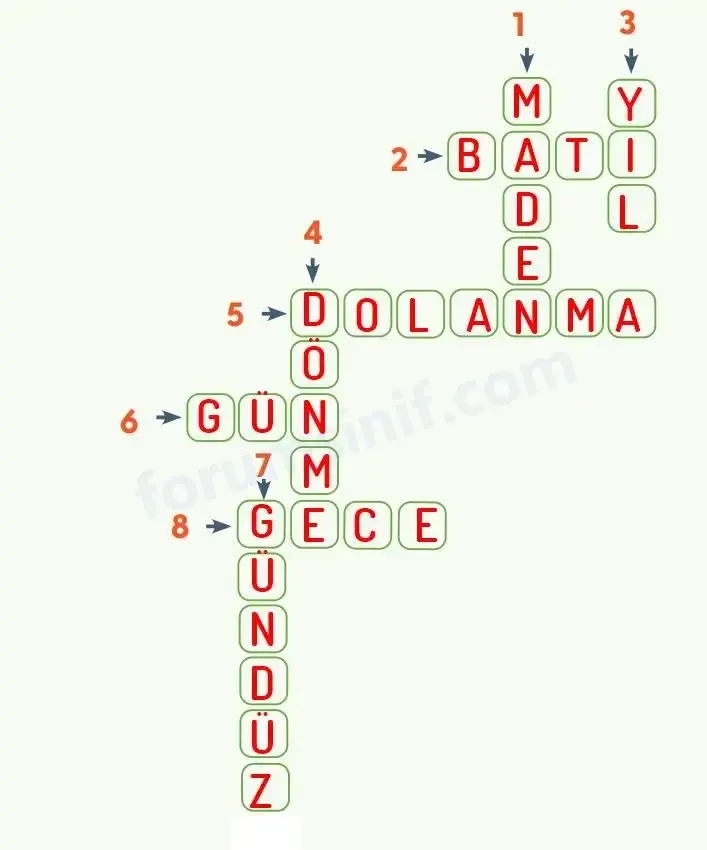 4. Sınıf Fen Bilimleri Ders Kitabı Sayfa 38 Cevapları MEB Yayınları