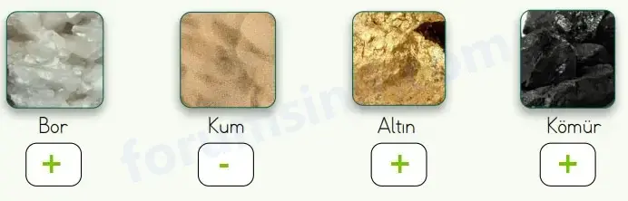 4. Sınıf Fen Bilimleri Ders Kitabı Sayfa 40 Cevapları MEB Yayınları