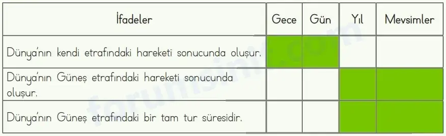 4. Sınıf Fen Bilimleri Ders Kitabı Sayfa 40 Cevapları MEB Yayınları