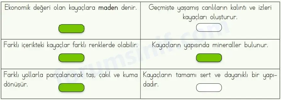 4. Sınıf Fen Bilimleri Ders Kitabı Sayfa 41 Cevapları MEB Yayınları