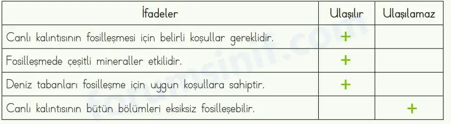 4. Sınıf Fen Bilimleri Ders Kitabı Sayfa 42 Cevapları MEB Yayınları