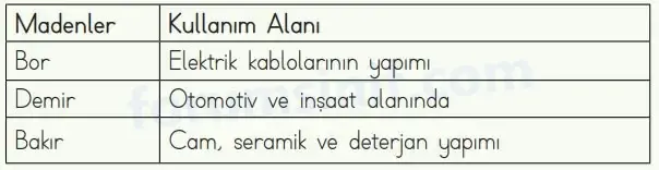 4. Sınıf Fen Bilimleri Ders Kitabı Sayfa 42 Cevapları MEB Yayınları