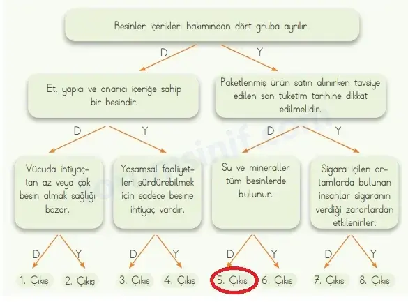 4. Sınıf Fen Bilimleri Ders Kitabı Sayfa 67 Cevapları MEB Yayınları 4. Sınıf Fen Bilimleri Ders Kitabı Sayfa 67 Cevapları MEB Yayınları
