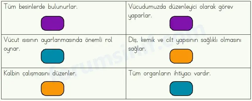 4. Sınıf Fen Bilimleri Ders Kitabı Sayfa 70 Cevapları MEB Yayınları 4. Sınıf Fen Bilimleri Ders Kitabı Sayfa 70 Cevapları MEB Yayınları