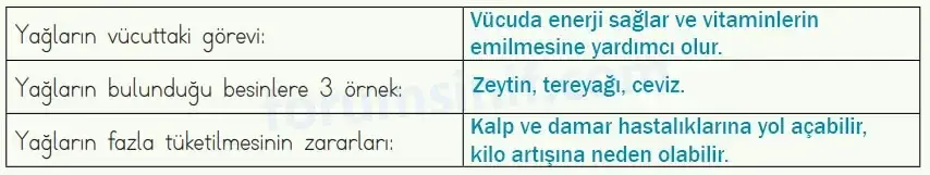 4. Sınıf Fen Bilimleri Ders Kitabı Sayfa 71 Cevapları MEB Yayınları 4. Sınıf Fen Bilimleri Ders Kitabı Sayfa 71 Cevapları MEB Yayınları
