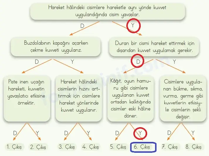 4. Sınıf Fen Bilimleri Ders Kitabı Sayfa 79 Cevapları MEB Yayınları