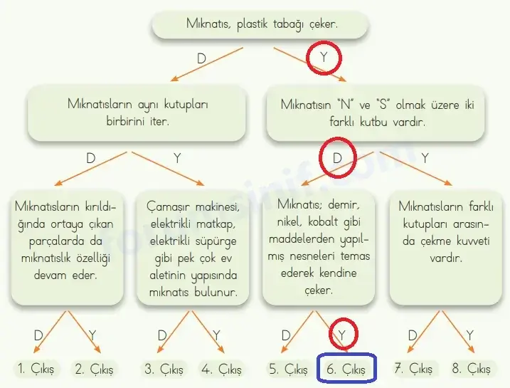 4. Sınıf Fen Bilimleri Ders Kitabı Sayfa 89 Cevapları MEB Yayınları 4. Sınıf Fen Bilimleri Ders Kitabı Sayfa 89 Cevapları MEB Yayınları