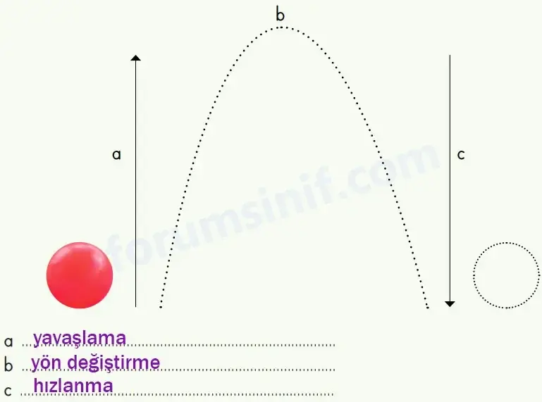 4. Sınıf Fen Bilimleri Ders Kitabı Sayfa 94 Cevapları MEB Yayınları