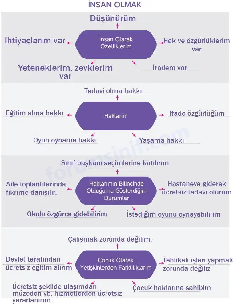 4. Sınıf İnsan Hakları Ders Kitabı Sayfa 21 Cevapları Hecce Yayıncılık 4. Sınıf İnsan Hakları Ders Kitabı Sayfa 21 Cevapları Hecce Yayıncılık