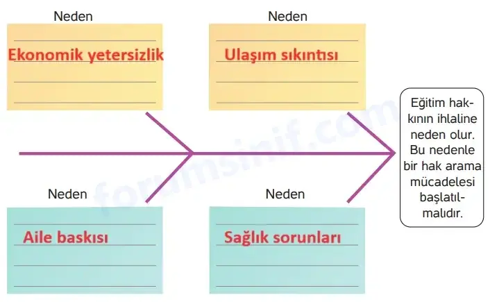 4. Sınıf İnsan Hakları Ders Kitabı Sayfa 33 Cevapları Hecce Yayıncılık