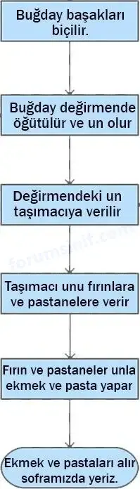 4. Sınıf Sosyal Bilgiler Ders Kitabı Sayfa 136 Cevapları Hecce Yayıncılık