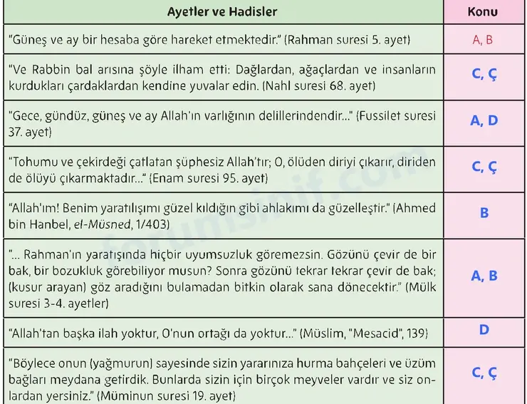 5. Sınıf Din Kültürü Sayfa 26 Cevapları MEB Yayınları 5. Sınıf Din Kültürü Sayfa 26 Cevapları MEB Yayınları