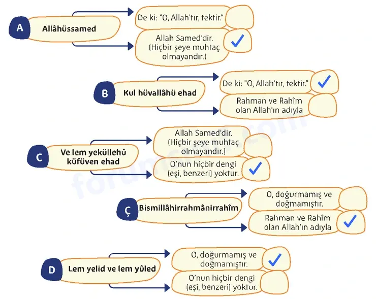 5. Sınıf Din Kültürü Sayfa 38 Cevapları MEB Yayınları 5. Sınıf Din Kültürü Sayfa 38 Cevapları MEB Yayınları