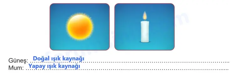 5. Sınıf Fen Bilimleri Ders Kitabı Sayfa 14 Cevapları 2. KİTAP 5. Sınıf Fen Bilimleri Ders Kitabı Sayfa 14 Cevapları 2. KİTAP