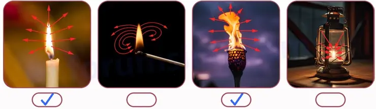 5. Sınıf Fen Bilimleri Ders Kitabı Sayfa 22 Cevapları 2. KİTAP