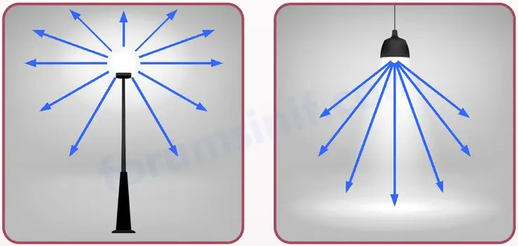 5. Sınıf Fen Bilimleri Ders Kitabı Sayfa 22 Cevapları 2. KİTAP - 2