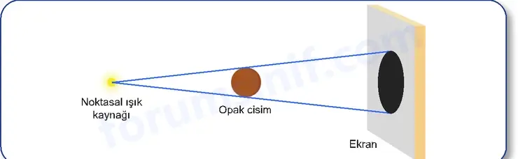 5. Sınıf Fen Bilimleri Ders Kitabı Sayfa 36 Cevapları 2. KİTAP 5. Sınıf Fen Bilimleri Ders Kitabı Sayfa 36 Cevapları 2. KİTAP