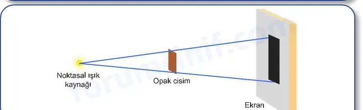 5. Sınıf Fen Bilimleri Ders Kitabı Sayfa 36 Cevapları 2. KİTAP - 2 5. Sınıf Fen Bilimleri Ders Kitabı Sayfa 36 Cevapları 2. KİTAP - 2