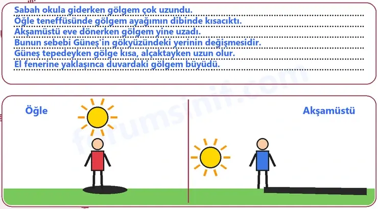 5. Sınıf Fen Bilimleri Ders Kitabı Sayfa 38 Cevapları 2. KİTAP 5. Sınıf Fen Bilimleri Ders Kitabı Sayfa 38 Cevapları 2. KİTAP