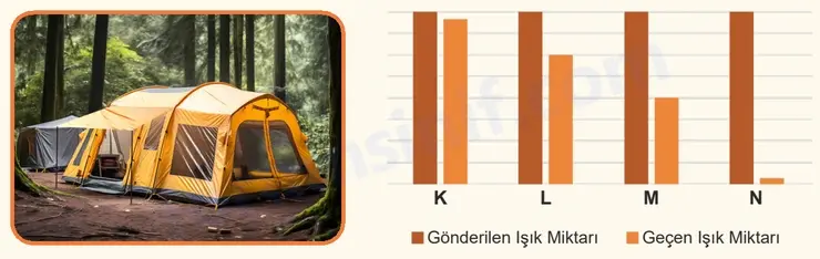 5. Sınıf Fen Bilimleri Ders Kitabı Sayfa 46 2. KİTAP 5. Sınıf Fen Bilimleri Ders Kitabı Sayfa 46 2. KİTAP