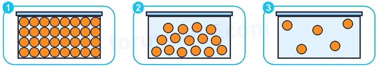 5. Sınıf Fen Bilimleri Ders Kitabı Sayfa 55 Cevapları 2. KİTAP 5. Sınıf Fen Bilimleri Ders Kitabı Sayfa 55 Cevapları 2. KİTAP