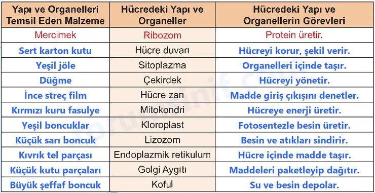 5. Sınıf Fen Bilimleri Sayfa 108 Cevapları 1. Kitap - 2