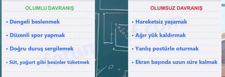5. Sınıf Fen Bilimleri Sayfa 134 Cevapları 1. Kitap 5. Sınıf Fen Bilimleri Sayfa 134 Cevapları 1. Kitap