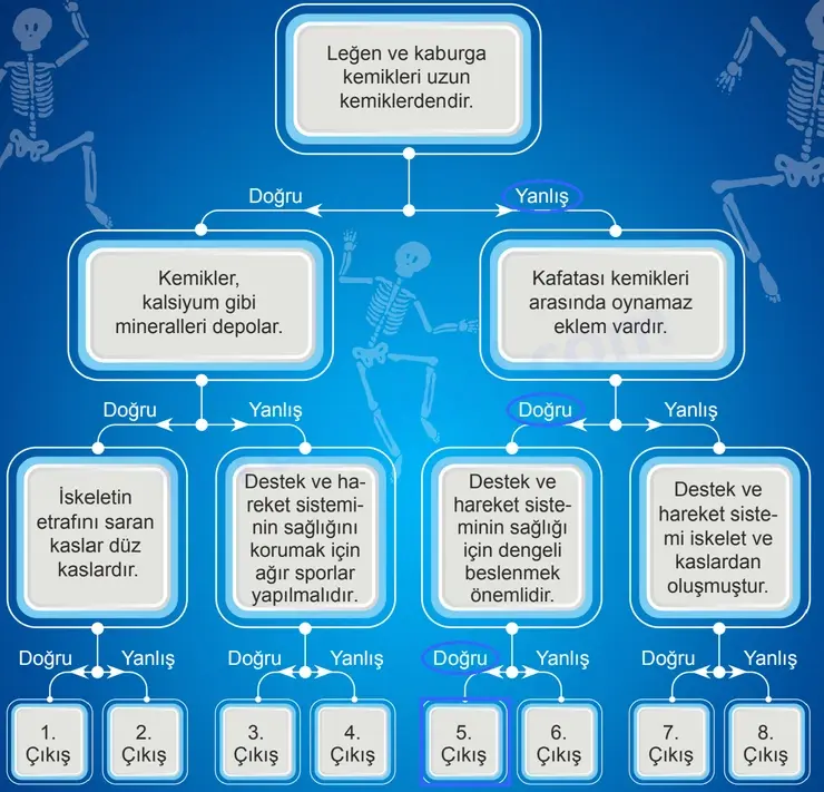 5. Sınıf Fen Bilimleri Sayfa 135 Cevapları 1. Kitap 5. Sınıf Fen Bilimleri Sayfa 135 Cevapları 1. Kitap
