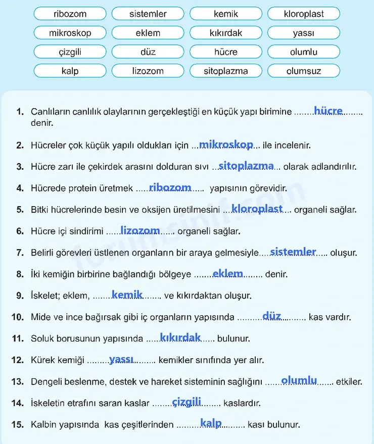 5. Sınıf Fen Bilimleri Sayfa 136 Cevapları 1. Kitap 5. Sınıf Fen Bilimleri Sayfa 136 Cevapları 1. Kitap