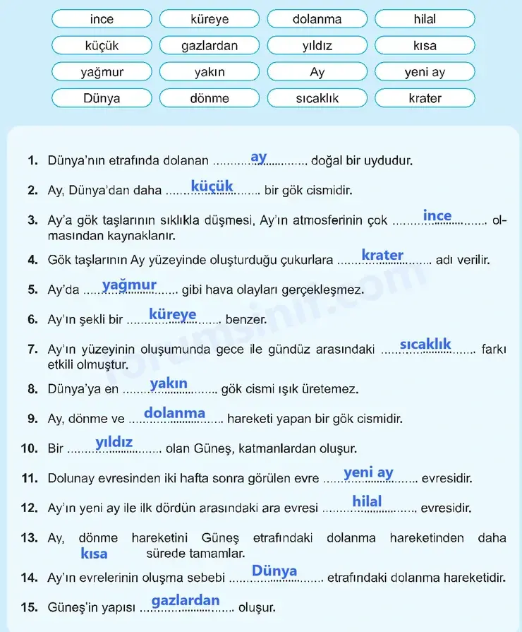 5. Sınıf Fen Bilimleri Sayfa 50 Cevapları 1. Kitap 5. Sınıf Fen Bilimleri Sayfa 50 Cevapları 1. Kitap